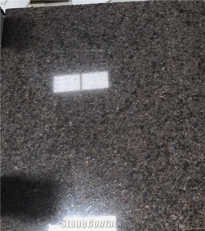 Brown Qussair Granite Slabs & Tiles