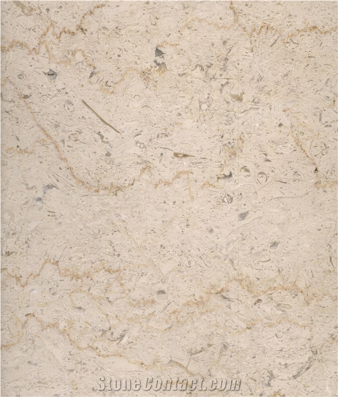 Filetto Silsela Polished Egyptian Marble