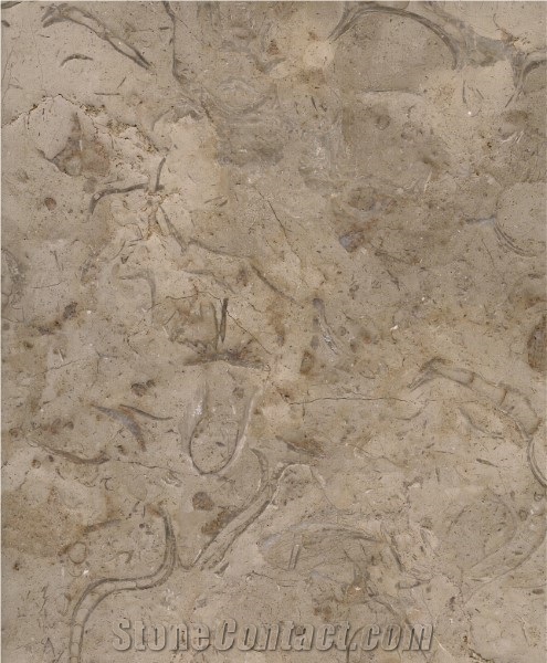 Katrena Brushed Marble & Tiles , Catharina