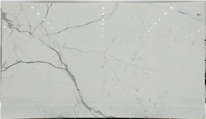 Dolomite White Marble Slab Calacatta Dolomite White Marble Slab Calacatta