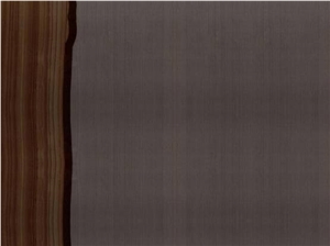 Desert Camel Polished Sandstone