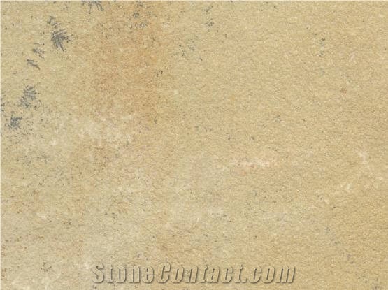 Mint Fossil Natural Sandstone