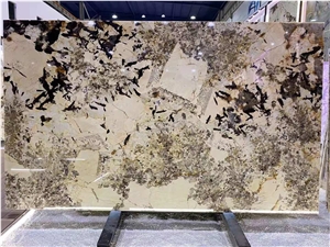 Brazil Pandora White Quartzite Slabs-Polished