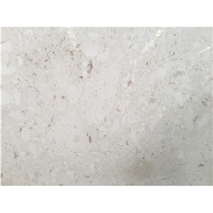 Hot-Selling White Mushroom Limestonoe