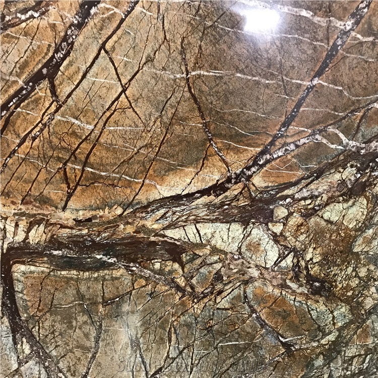 Rainforest Brown Marble Slab