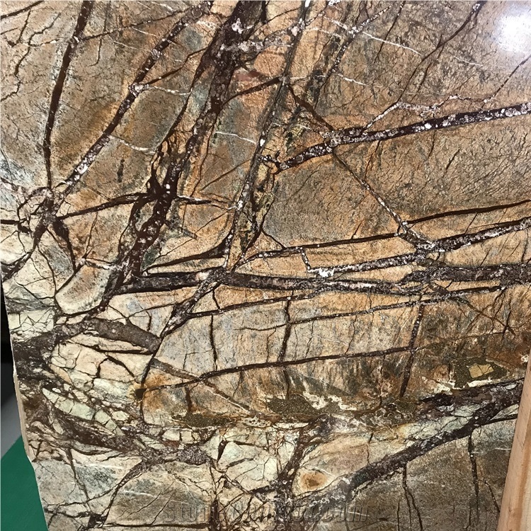 Rainforest Brown Marble Slab