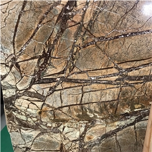 Rainforest Brown Marble Slab
