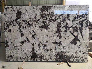 Snow Mountain Silver Fox Granite Bianco Antico