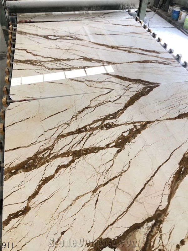 Turkey Dragon Gold Marble Slab Tiles Book Match