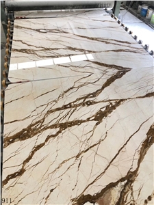 Turkey Dragon Gold Marble Slab Tiles Book Match