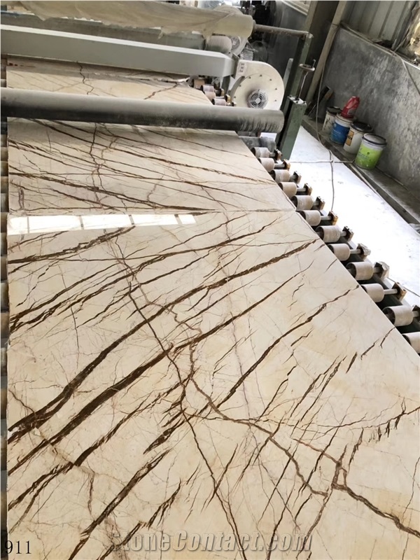 Turkey Dragon Gold Marble Slab Tiles Book Match