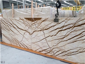 Turkey Dragon Gold Marble Slab Tiles Book Match
