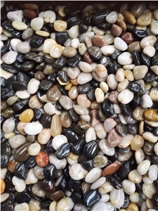 Landscape High Polished Mixed Color Pebble Stone