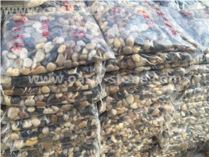 Multicolor Pebble Stone