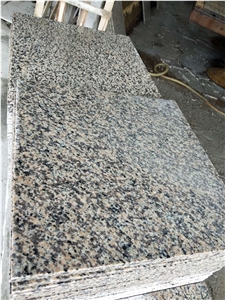 Tiger Skin Red Granite