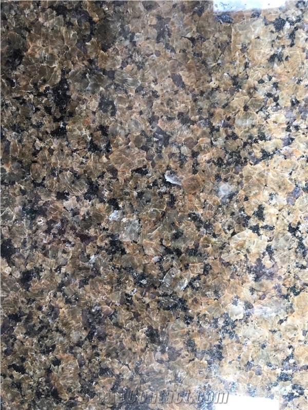 Tropic Brown Granite Tiles Slabs Building Covering