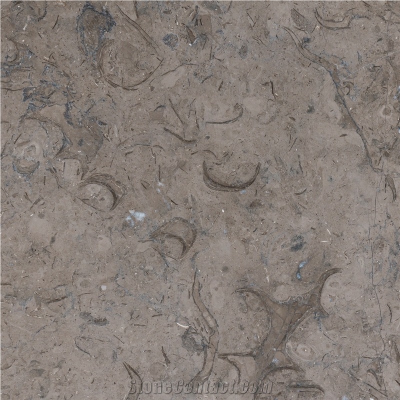 Millie Brown Limestone, Mely Brown Limestone