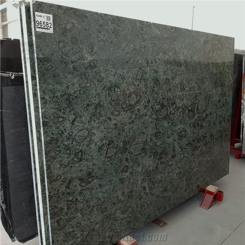 Verde Tortuga Quartzite Slabs