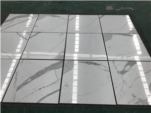 Calacatta/ Statuario /Statuary White Marble Tiles