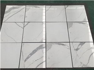 Calacatta/ Statuario /Statuary White Marble Tiles