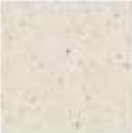 Full Body Vitrified - 200 X 200 Ceramic Tile