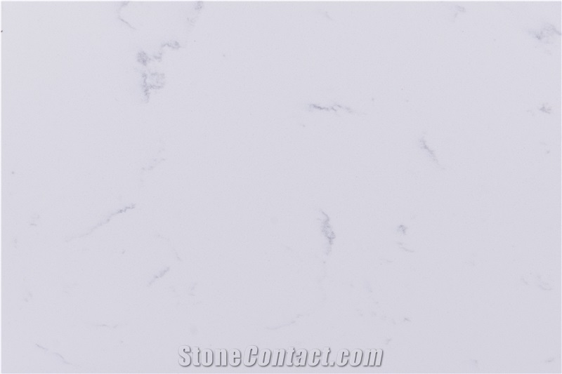 Decorative Pattern Quartz Stone