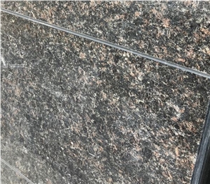Tan Brown Granite Tiles & Slabs