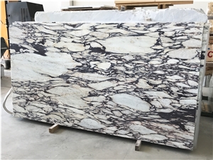 Calacatta Viola / Breccia Viola Italian Marble