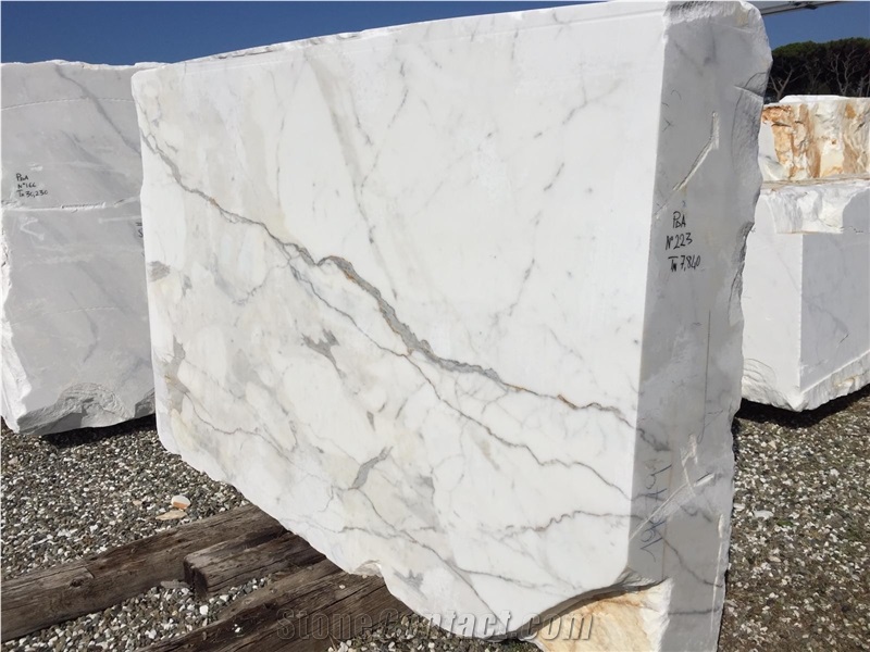 Statuario Vena Fine Italian Marble Blocks