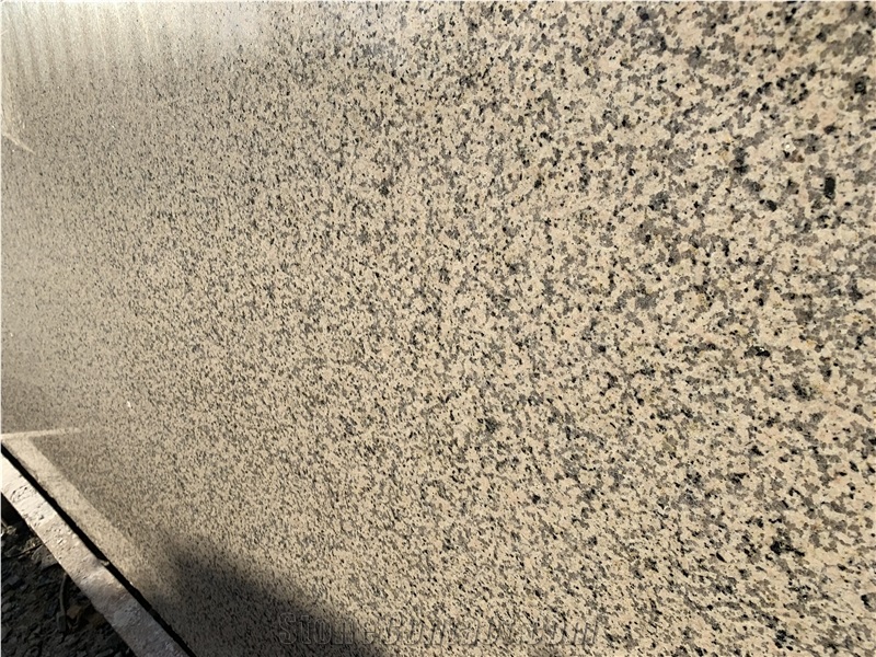 Viet Nam Beige Granite Tile and Slab