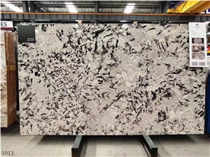 Brazil Alp Snow Marble Table Top Use