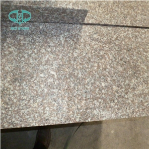 China Old G664 Pink Granite for Step Tile Big Slab