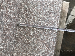G664 Violet Granite 60x30 Tiles G664 Violet Granite 60x30 Tiles