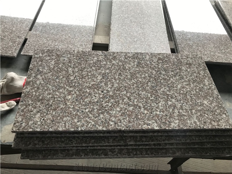 G664 Violet Granite 60x30 Tiles