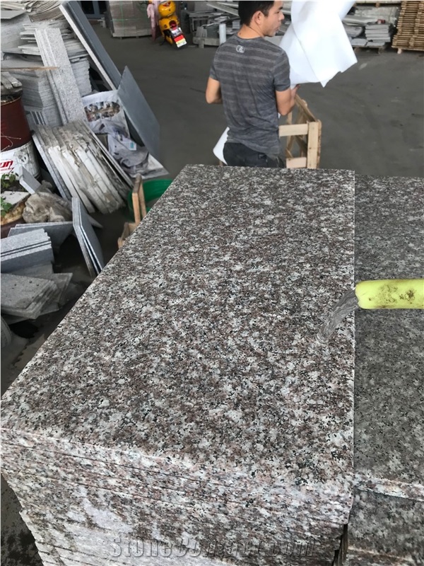 G664 Violet Granite 60x30 Tiles