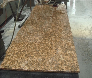 Giallo Fiorito Granite Slabs,Brazil Granite Tiles