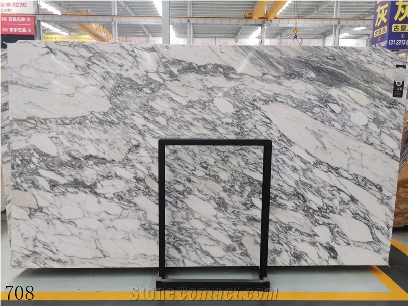 Italy Arabescato Corchia Marble Slab Walling Tiles