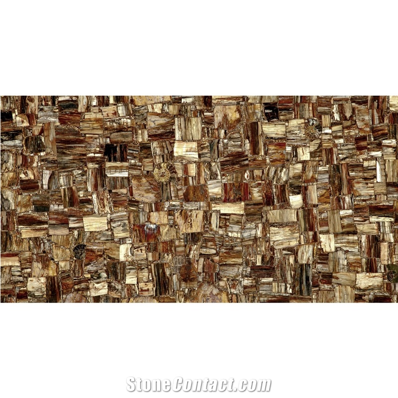 Luxury Wood Fossil Semiprecious Stone