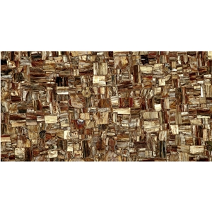 Luxury Wood Fossil Semiprecious Stone