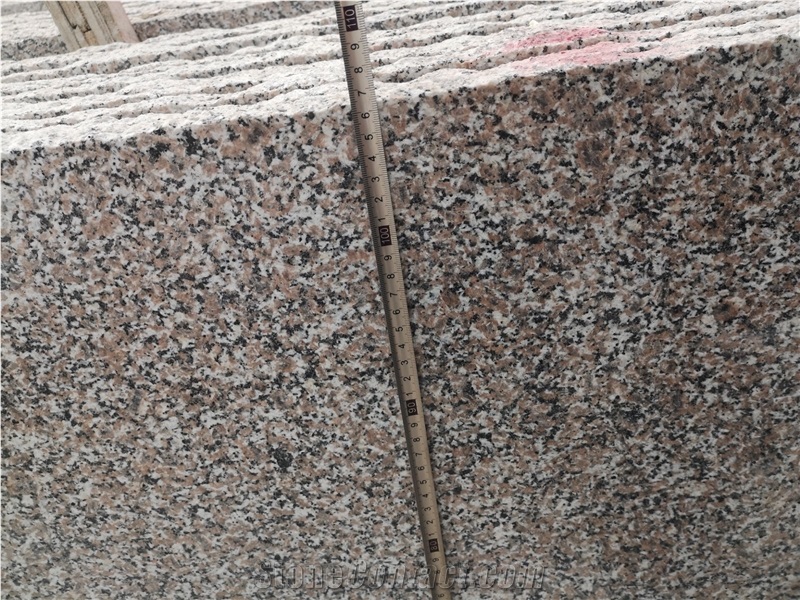 New G664 Pink Granite Slab