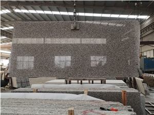New G664 Pink Granite Slab