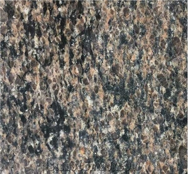 New Merry Gold, Camel Brown Granite Tiles & Slabs