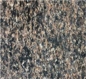 New Merry Gold, Camel Brown Granite Tiles & Slabs