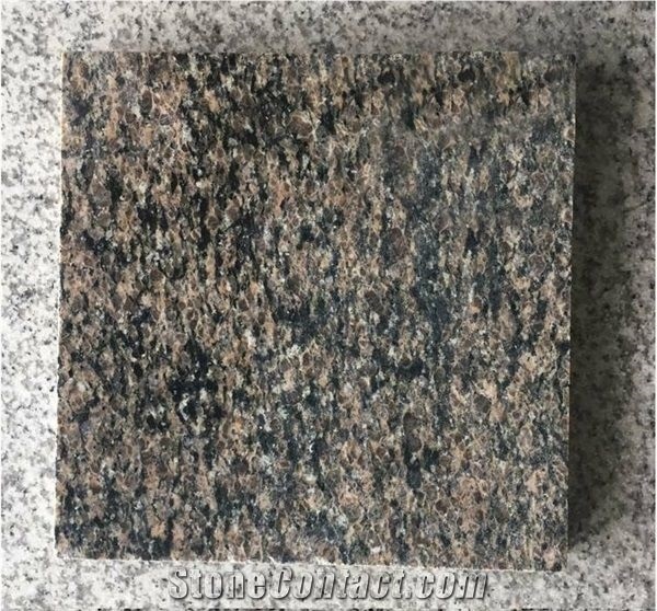 New Merry Gold, Camel Brown Granite Tiles & Slabs