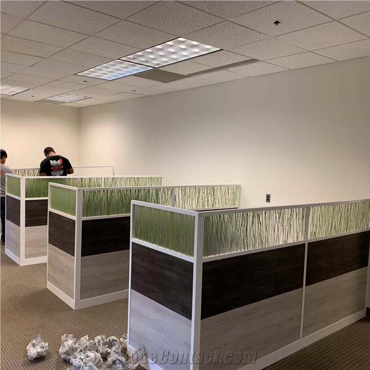 Planting Acrylic Sheet 6Mm For Window Decoration