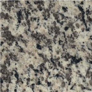 Tiger Skin White Granite Bath Countertop Vanity