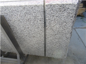 White Granite Flag Slabs 2400upx800x25mm in Stock