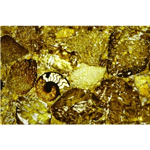 Wonderful Leopard Agate