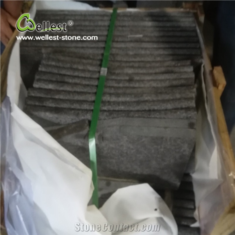 Black Basalt Swimming Pool Coping Stone