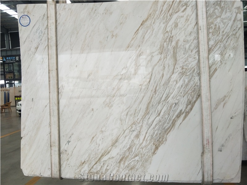 China Calacatta Gold Bianco Delicato Marble Slab